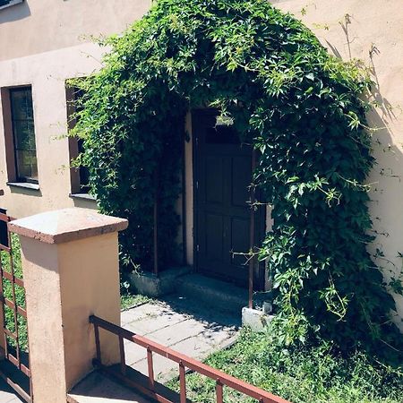 Apartamentai Klaipedos Senamiestyje Klaipėda Kültér fotó